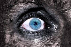 theync.com|5 Gore Sites With Videos That May Cause Nightmares.